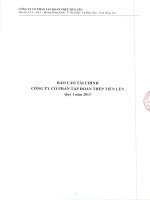 Công ty cổ phần tập đoàn thép tiến lên báo cáo tài chính quý 1 năm 2013