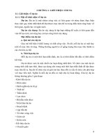 Bài giảng ứng dụng tin học trong xây dựng part 2 ppsx