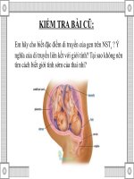 bài 13 ảnh hưởng của mt lên sự biểu hiện kiểu gen