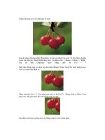 Giáo trình hướng dẫn các thủ thuật cắt ghép ảnh biếm họa phần 2 pdf