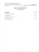 Báo cáo tài chính qúy 3 năm 2013 công ty cổ phần tập đoàn thép tiến lên