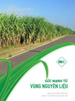 BÁO cáo THƯỜNG NIÊN 2013 CÔNG TY cổ PHẦN ĐƯỜNG NINH hòa sức mạnh từ vùng nguyên liệu