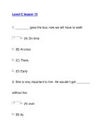 Level C lesson 131 docx