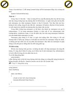 Giáo trình hướng dẫn phân tích truy cập các thành phần tùy biến trong mảng có kích thước khác nhau p6 doc