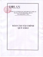 công ty cổ phần du lịch dịch vụ hội an báo cáo tài chính quý 1 năm 2013