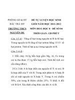 ĐỀ TỰ LUYỆN HỌC SINH GIỎI MÔN HÓA HỌC LỚP 8 MÃ ĐỀ 04 PHÒNG GD & ĐT BẮC TRÀ MY TRƯỜNG THCS NGUYỄN DU pdf