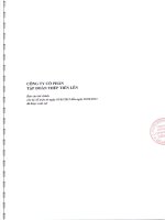 Công ty cổ phần tập đoàn thép tiến lên báo cáo tài chính cho kỳ kế toán từ 1 tháng 1 năm 2013 đến 30 tháng 6 năm 2013 đã được soát xét