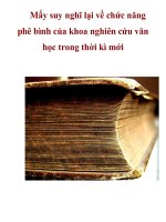 Mấy suy nghĩ lại về chức năng phê bình của khoa nghiên cứu văn học trong thời kì mới pot