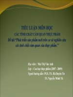 Tiểu luận 