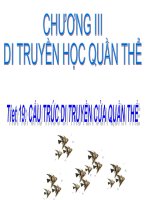 bài 17 cấu trúc di truyền của quần thể