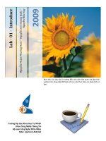 Lab - 01 - Introduce ppsx