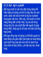 Bài giảng bệnh lý học thú y : Rối loạn chuyển hoá các chất part 3 ppsx