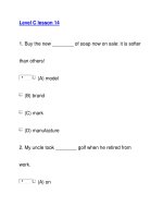Level C lesson 141 pptx