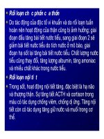 Bài giảng bệnh lý học thú y : Sốt ( Febris ) part 5 pps