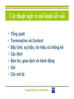 GIAO THỨC H.248 - Phần 2 potx