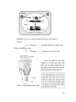 Dinh dương và Thức ăn cho bò part 6 ppt