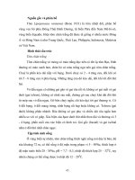 NUÔI THÂM CANH TÔM ĐẢM BẢO AN TOÀN VỆ SINH THỰC PHẨM THEO MÔ HÌNH GAqP part 6 pdf