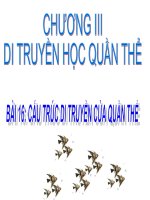 bài 16 cấu trúc di truyền của quần thể