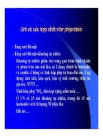 Thức ăn bổ sung cho vật nuôi : Thức ăn bổ sung dinh dưỡng part 4 ppsx