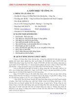 công ty cổ phần phát triển nhà bà rịa vũng tàu báo cáo thường niên 2008