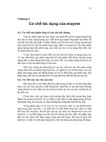 Enzyme kiến thức cơ bản - Chương 6 pdf