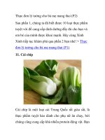 Thực đơn lý tưởng cho bà mẹ mang thai (P2) potx