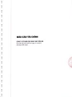 Công ty cổ phần tập đoàn thép tiến lên báo cáo tài chính cho năm tài chính kết thúc ngày 31 tháng 12 năm 2013 đã được kiểm toán