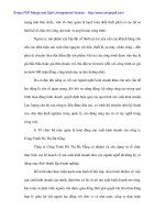 Lý thuyết kế tóan vốn bằng tiền tại Cty đô thị - 3 ppt