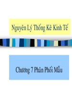Tham số của tổng thể và giá trị thống kê mẫu pdf