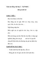 Giáo án tiếng việt lớp 2 - TẬP ĐỌC: đàn gà mới nở potx