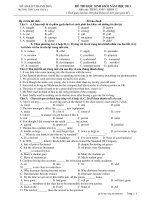 ĐỀ THI HỌC SINH GIỎI NĂM HỌC 2011 Môn thi: TIẾNG ANH – KHỐI 1 docx
