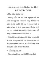 Giáo án tiếng việt lớp 5 - Tập làm văn: TRẢ BÀI VĂN TẢ CẢNH doc