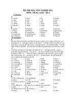 ĐỀ THI MẪU TỐT NGHIỆP 2011 MÔN: TIẾNG ANH – SỐ 2 pps