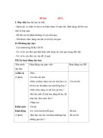 Giáo án Tự nhiên xã hội lớp 3: Đề bài: QUẢ. doc