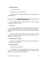 Bài giảng bệnh chuyên khoa nông nghiệp : BỆNH HẠI CAM QUÍT part 2 docx