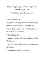 Giáo án tiếng việt lớp 5 - Chính tả: Nghe-viết: CHUỖI NGỌC LAM ppt