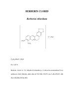BERBERIN CLORID docx
