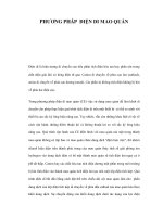 PHƯƠNG PHÁP ĐIỆN DI MAO QUẢN pdf
