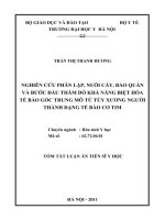 Nghiên cứu phân lập, nuôi cấy, bảo quản và bước đầu thăm dò khả năng biệt hóa tế bào gốc trung mô từ tủy xương người thành dạng tế bào cơ tim