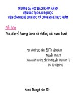 Tiểu luận: Tìm hiểu về hương thơm và vị đắng của nước bưởi. pdf