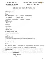 ĐỀ CƯƠNG ÔN TẬP MÔN TIẾNG ANH docx