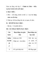Giáo án tiếng việt lớp 5 - Chính tả (Nhớ - viết): SANG NĂM CON LÊN BảY docx