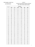 ĐÁP ÁN ĐỀ THI TUYỂN SINH CAO ĐẲNG NĂM 2011 Môn: TIẾNG TRUNG QUỐC; Khối: D pptx