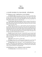 Kỹ thuận tạo thuận cảm phụ bản thể thần kinh cơ - Bài 4 docx