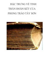 ĐẶC TRƯNG VỀ TINH THẦN ĐOÀN KẾT CỦA PHONG TRÀO TÂY SƠN pdf