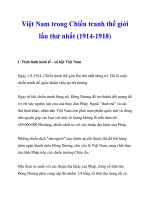 Việt Nam trong Chiến tranh thế giới lần thứ nhất (1914-1918)_1 ppsx