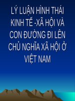 LÝ LUẬN HÌNH THÁI KINH TẾ -XÃ HỘI VÀ CON ĐƯỜNG ĐI LÊN CHỦ NGHĨA XÃ HỘI Ở VIỆT NAM docx