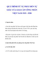 QUÁ TRÌNH TỪ TỰ PHÁT ĐẾN TỰ GIÁC CỦA GIAI CẤP CÔNG NHÂN VIỆT NAM 1919 - 1930 ppt