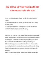 ĐẶC TRƯNG VỀ TINH THẦN ĐOÀN KẾT CỦA PHONG TRÀO TÂY SƠN_1 potx