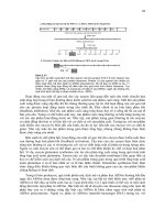 Một số vấn đề của sinh học phân tử part 4 doc